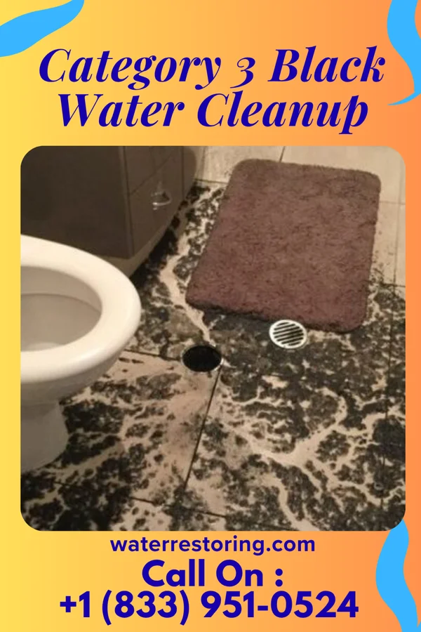 Category 3 Black Water Cleanup in Leona, KS