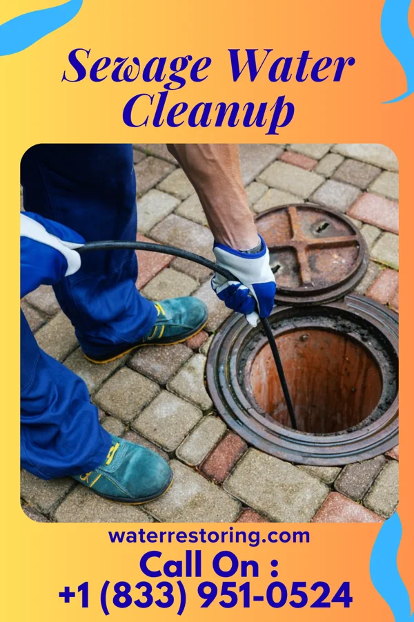 Sewage Water Cleanup in Leona, KS